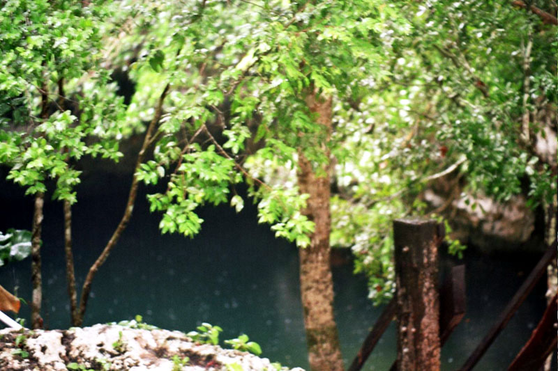 cenote_view