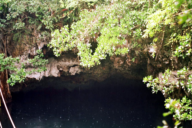 cenote_view2